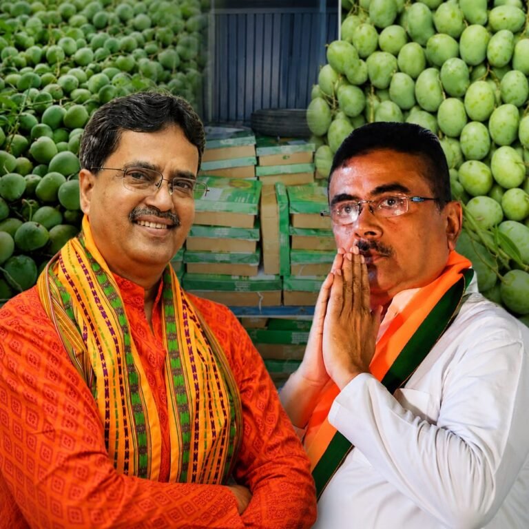 ‘আম কূটনীতি’; শেখ হাসিনার সময় ‘ভারতপ্রীতি’র অভিযোগ, বিএনপি পাঠালো ১,১০০ কেজি আমঃ দ্বৈত মানদণ্ডের প্রশ্ন