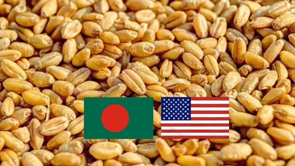 আন্তর্জাতিক বাজারের চেয়ে বেশী দামে গম আমদানী; কার স্বার্থে বিএনপি সরকারের কোটি টাকা গচ্চার সিদ্ধান্ত?