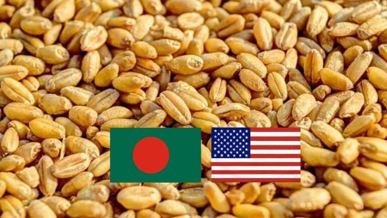 আন্তর্জাতিক বাজারের চেয়ে বেশী দামে গম আমদানী; কার স্বার্থে বিএনপি সরকারের কোটি টাকা গচ্চার সিদ্ধান্ত?