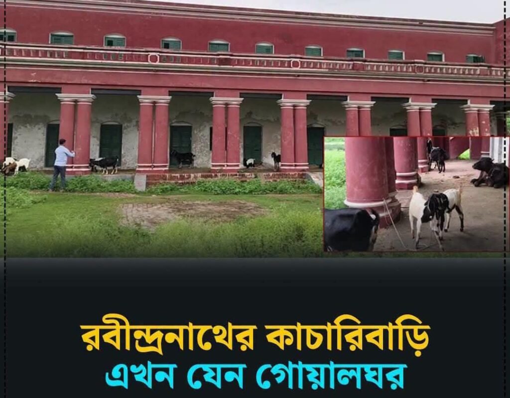 অযত্নে রবীন্দ্রনাথের ঐতিহাসিক শিলাইদহ কাচারিবাড়ি, বারান্দায় বাঁধা গবাদিপশু