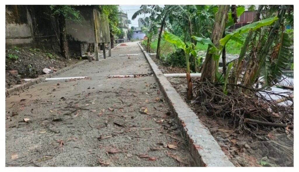 সরকারি অর্থে বিএনপি সরকারের ইউপি চেয়ারম্যানের বাড়িমুখী সড়ক নির্মাণ ও খাল ভরাটের তীব্র অভিযোগ