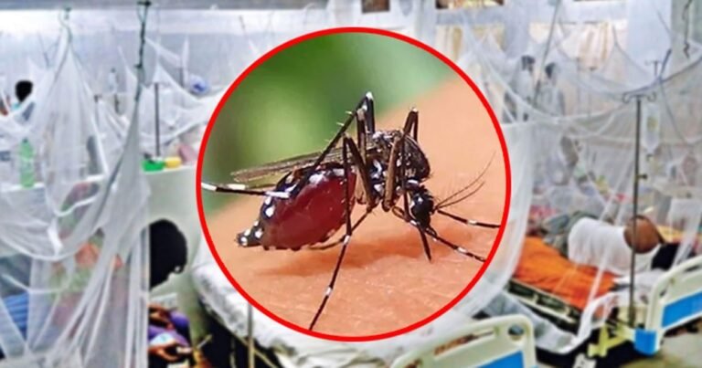 চট্টগ্রামে ডেঙ্গুর ভয়াবহ বিস্তার: ৮ মাসে আক্রান্ত ২১৮৬