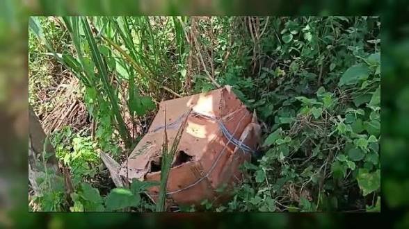 মধুখালীতে তিন কার্টনে মিলল অজ্ঞাত ব্যক্তির ছয় টুকরো মরদেহ